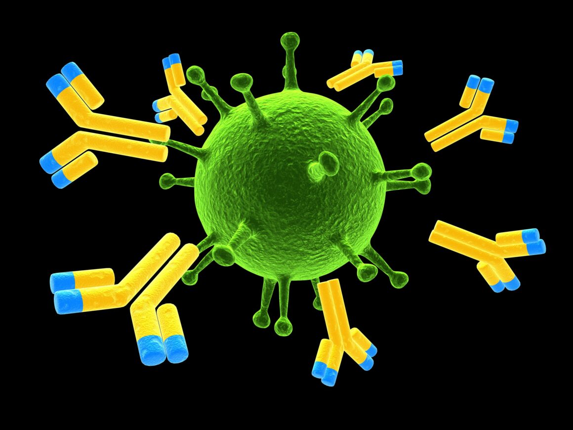 antibodies-attacking-a-virus1